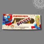 FLOWER POT DLX (5Pc): MRP: 1290